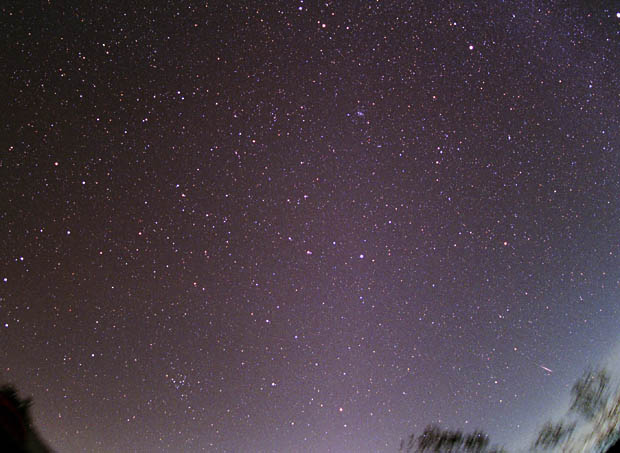 Leonids meteor & zodiacal light