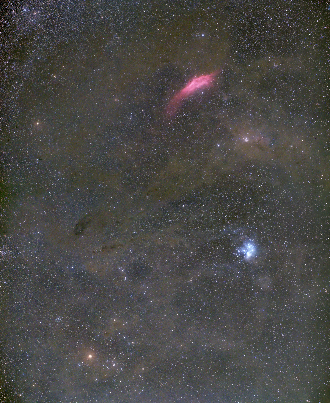California Nebula, Pleiades & Hyades. 