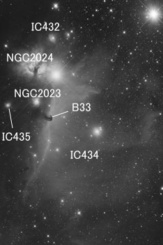Objects around Horse head nebula