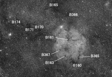 Dark Nebulae around IC1396