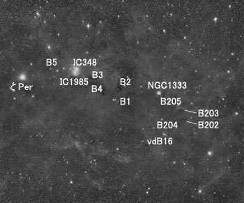 IC348周辺の星雲