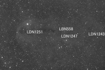 Objects around LBN 557, LDN1251