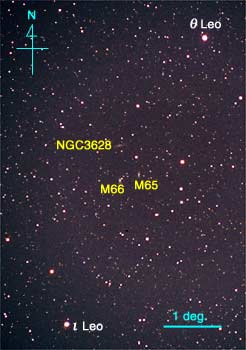 Wide-field image around M65, M66