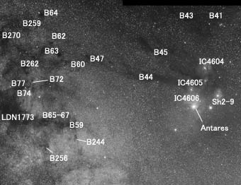 アンタレス〜パイプ星雲付近の天体分布