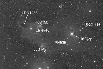 Objects around Shark Nebula