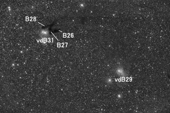 Nebulosities around vdB29 & vdB31