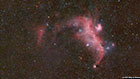 Seagull Nebula