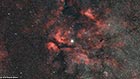 Around IC1318