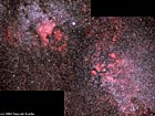 Diffused Nebulae in Cygnus