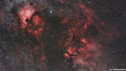 Diffused Nebulae in Cygnus